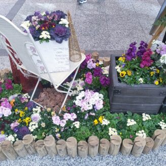 神戸の花を使った街の彩ガーデン（１２月、デュオこうべ）